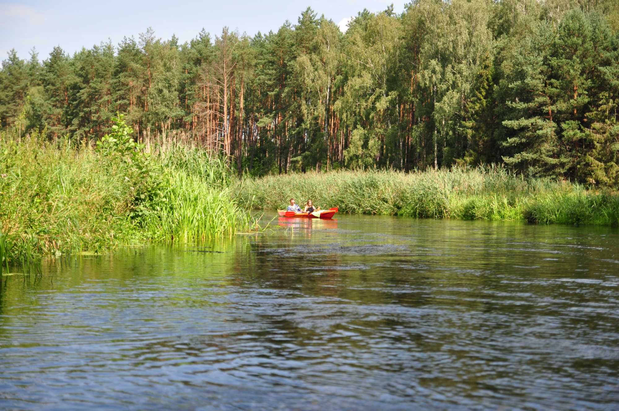 Spływy kajakowe rzeką Wdą