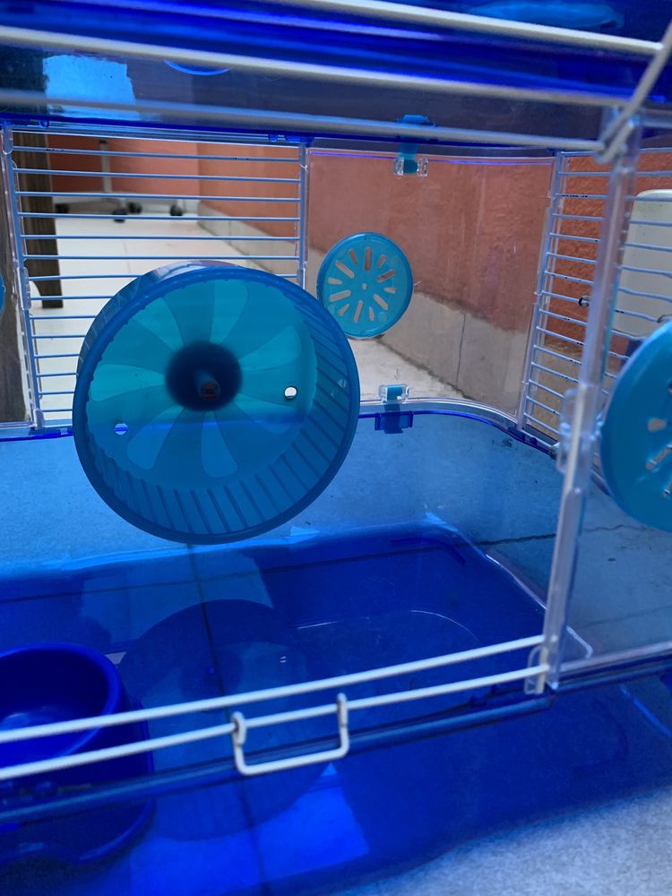 Gaiola hamster + transportadora + bola exercicio