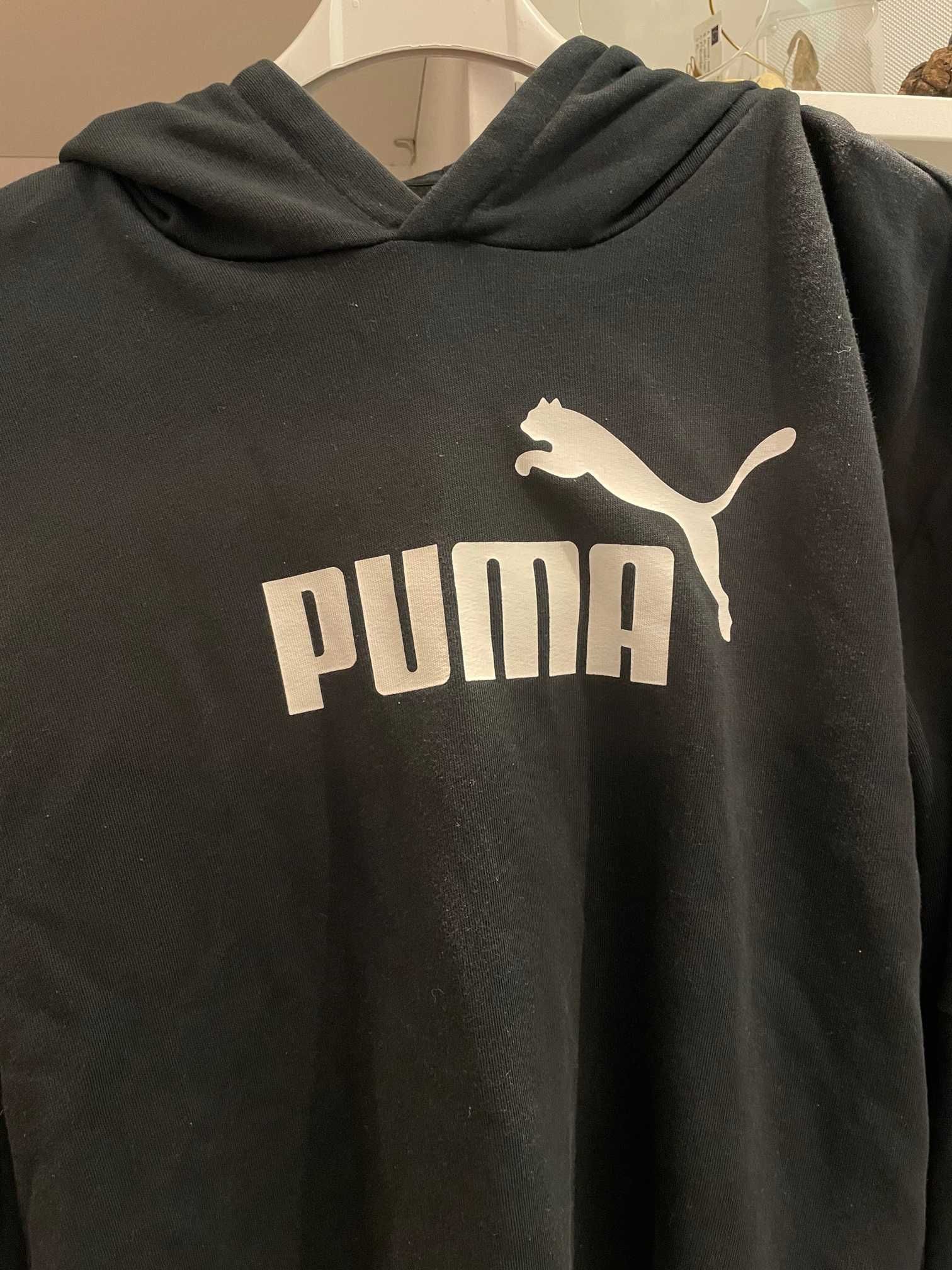 Bluza Puma rozmiar XS, S