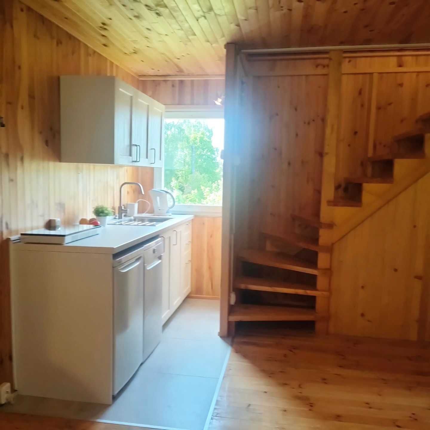 domek letniskowy nad jeziorem, Mazury, raj dla wędkarzy, z psem