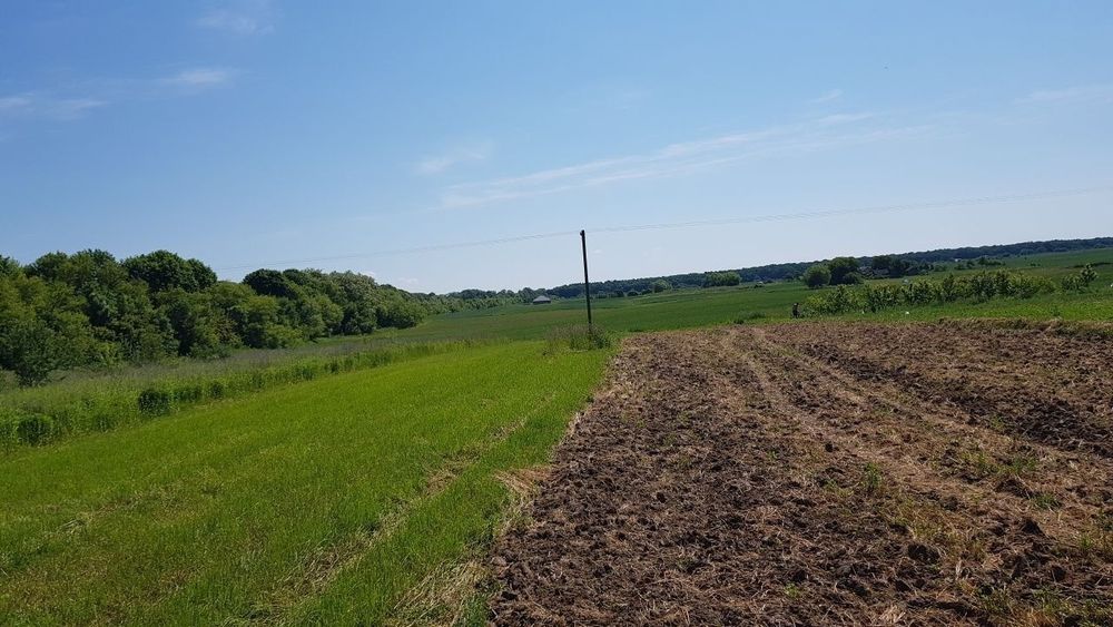 Земельна ділянка 25сот.