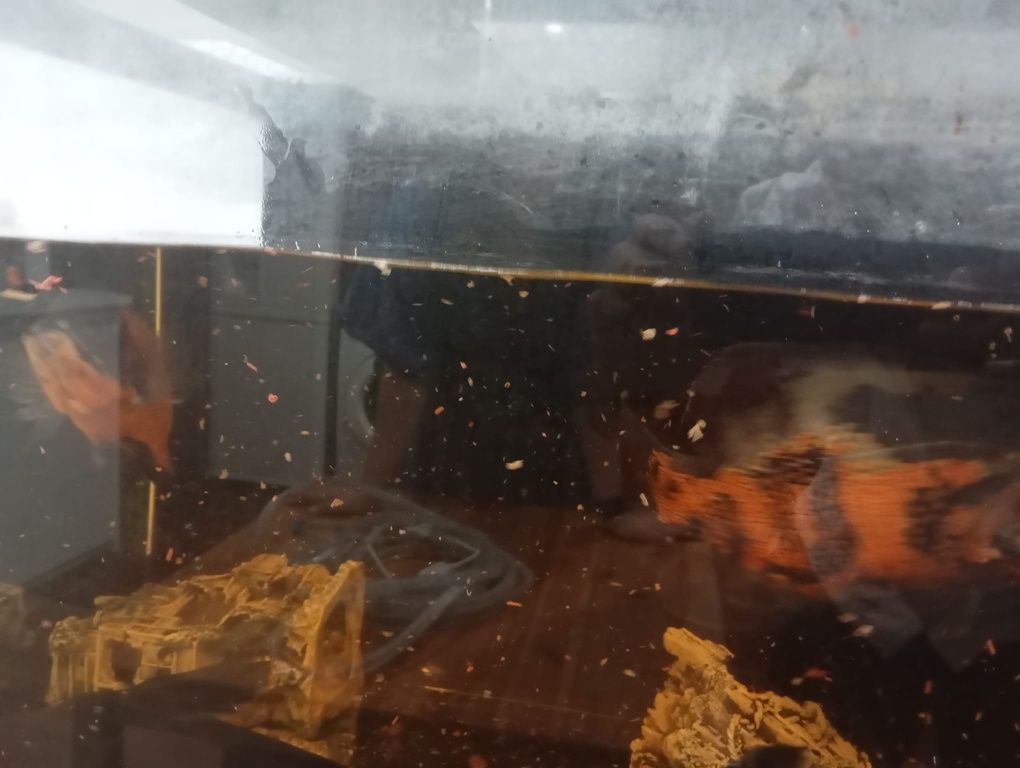 Aquário e peixes e bomba de água e termômetro