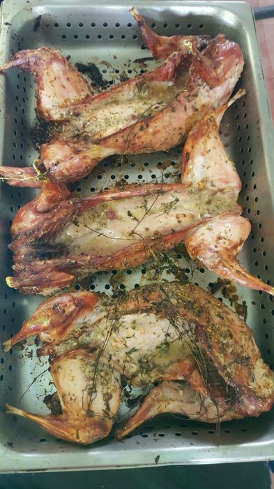 Кріль , кролик , м'ясо кролика , свіже копчене