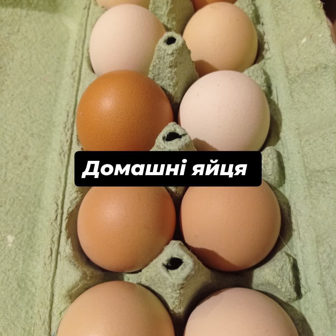 Домашні яйця, Смачна ягода Йошта