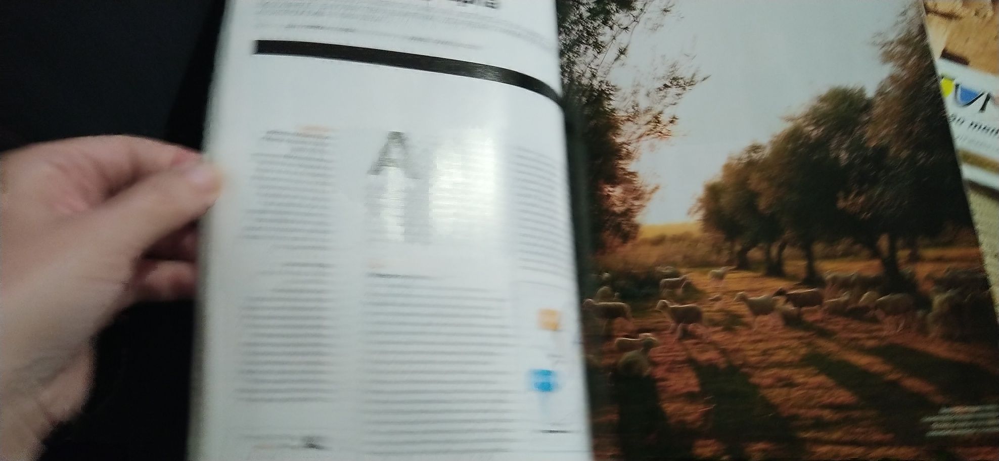 3 Revistas Rotas e destinos