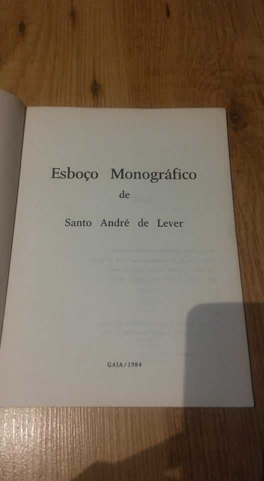 Esboço monográfico de Santo André de Lever