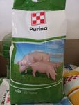 Концетрат purina для поросних та лактуючих свиноматок 20040