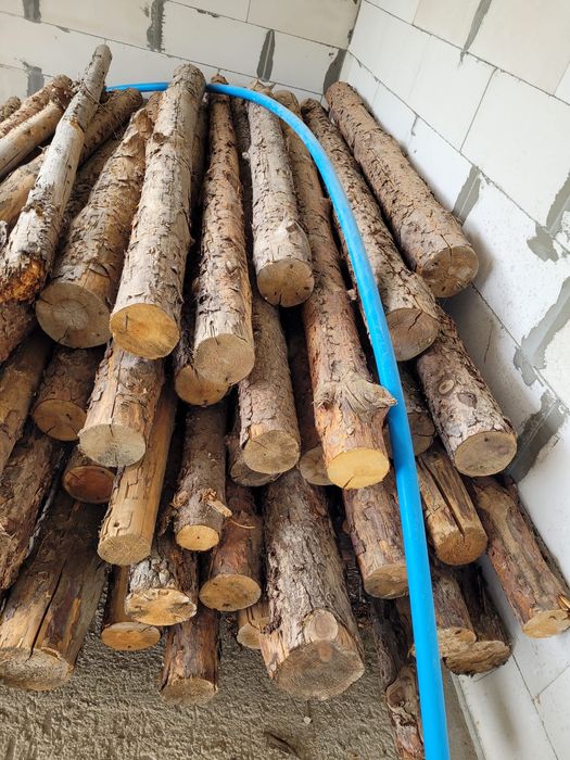 Stemple drewniane 2,5 - 3 m suche