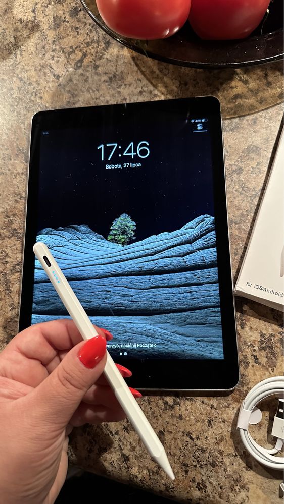 Tablet iPad Apple Retina - Touch ID - PROCREATE