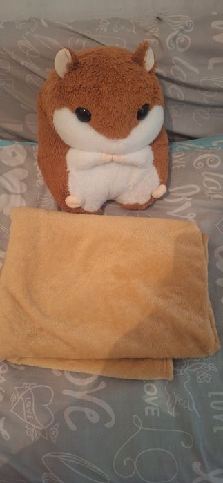 Пледи хомяк дуже гарний