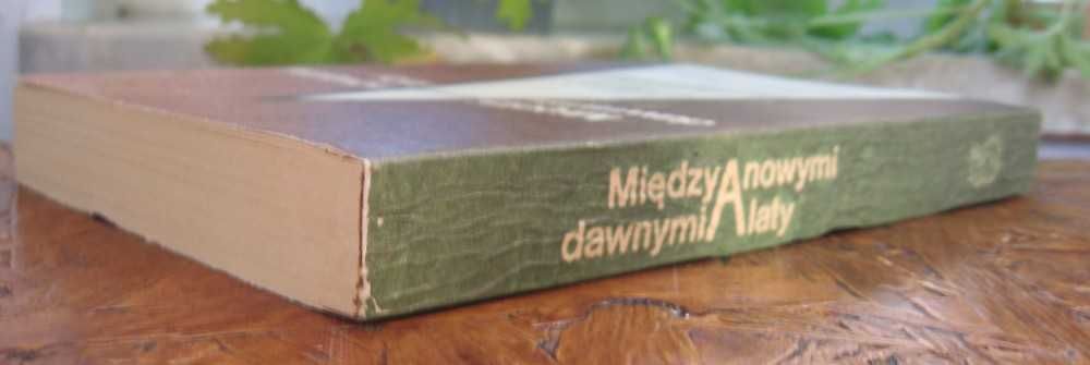 "Między nowymi a dawnymi laty. Eseje o języku" St. Dubisz