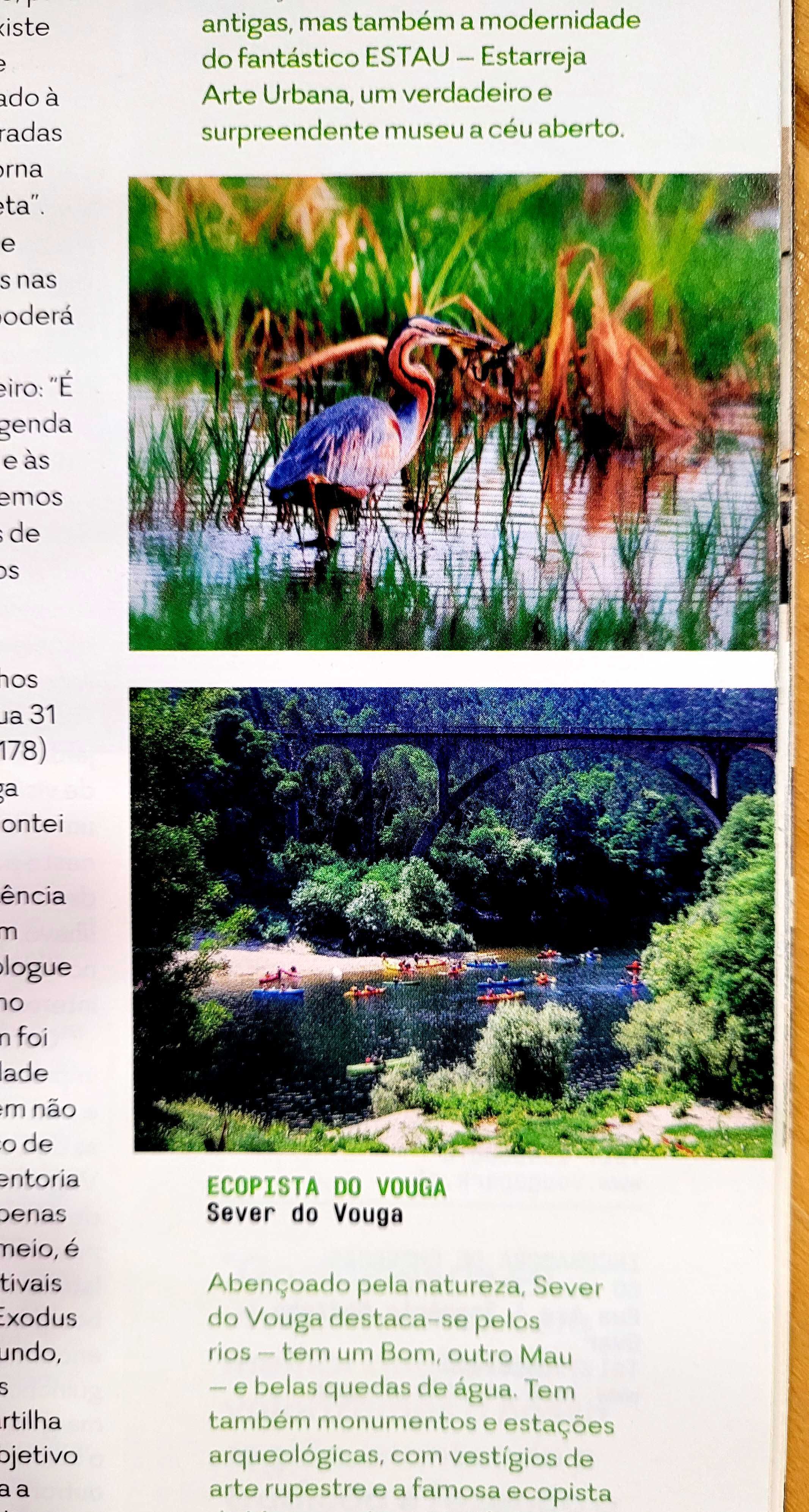 Work from Centro de Portugal, Expresso