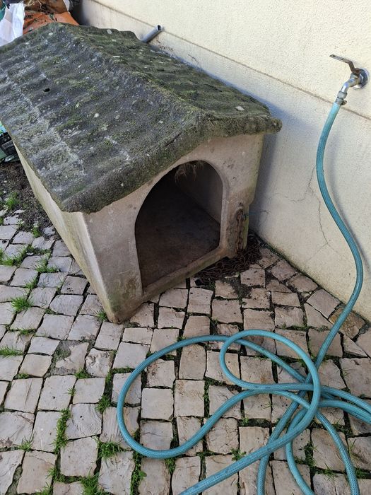 Casota de cimento para cão grande