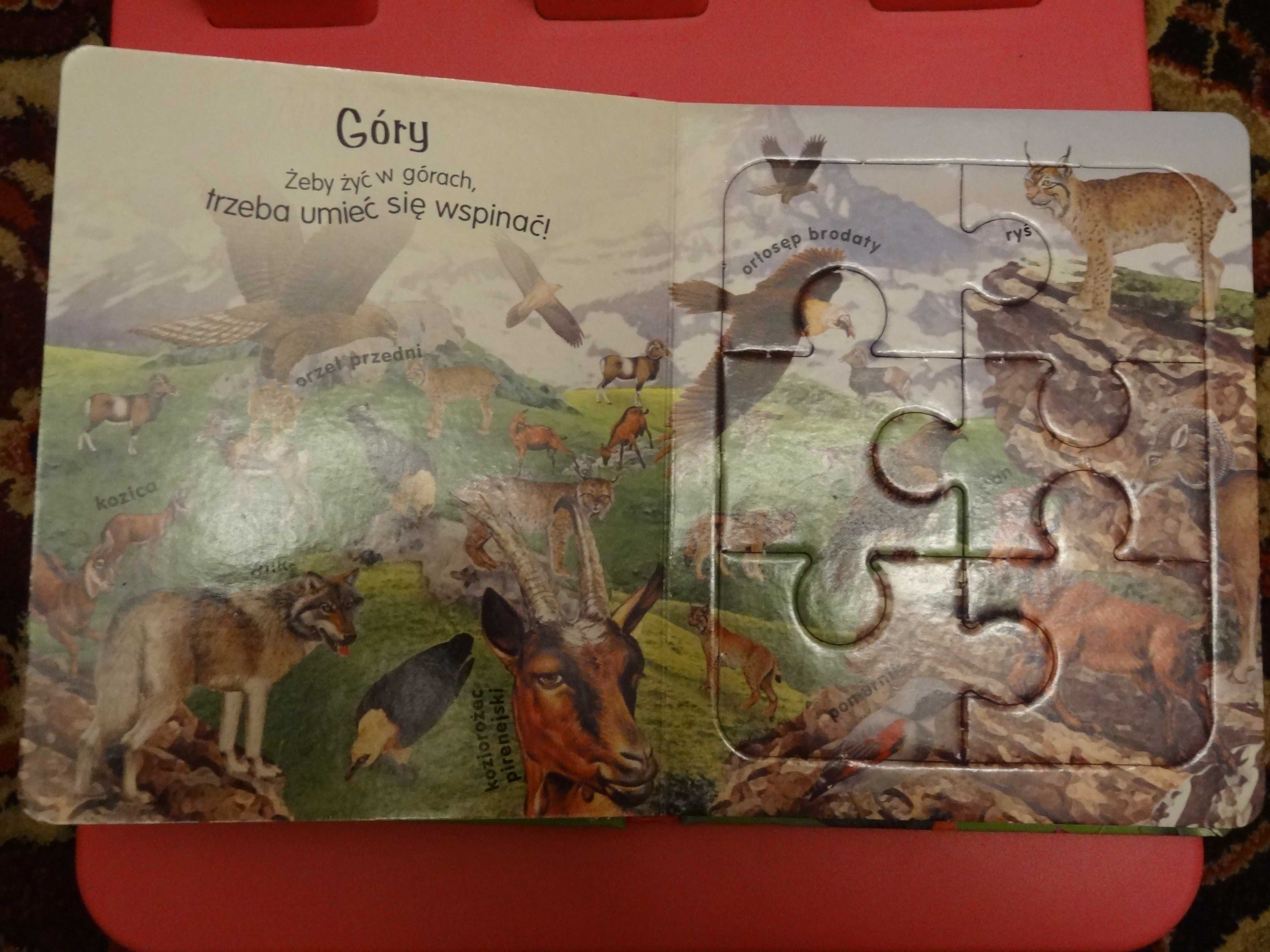 Książeczka Puzzle Zwierzęta Świata