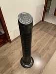 Ventoinha Becken