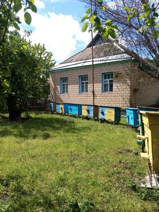 Продається будинок, Черкаська область, с Мліїв.