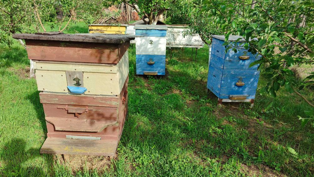 Вулики різні б/у