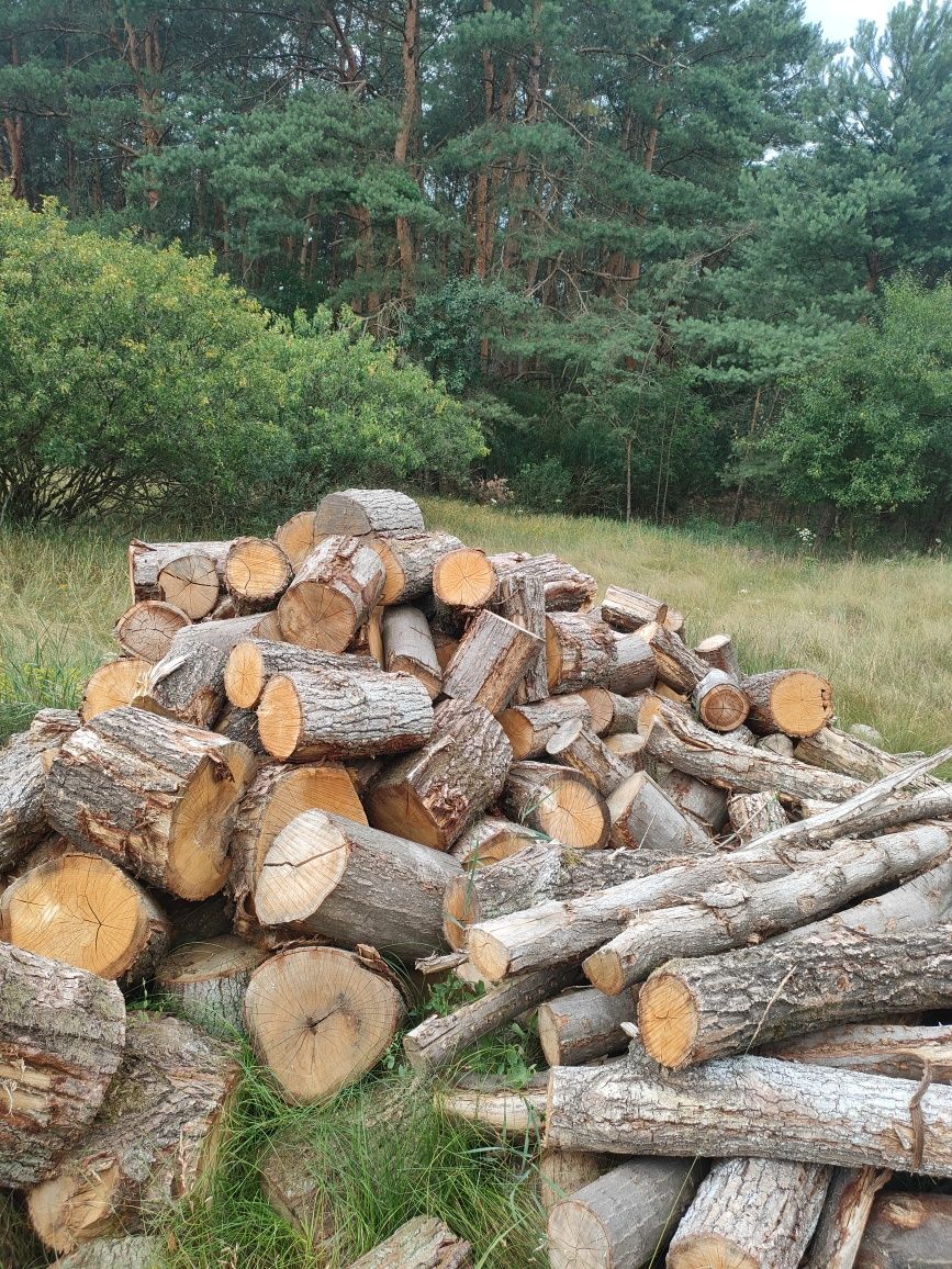 Sprzedam drzewo opałowe