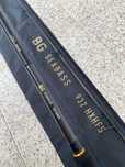 Cana Spinning Daiwa BG SEABASS
