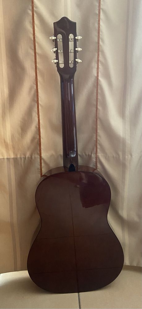 Viola clássica da Stagg