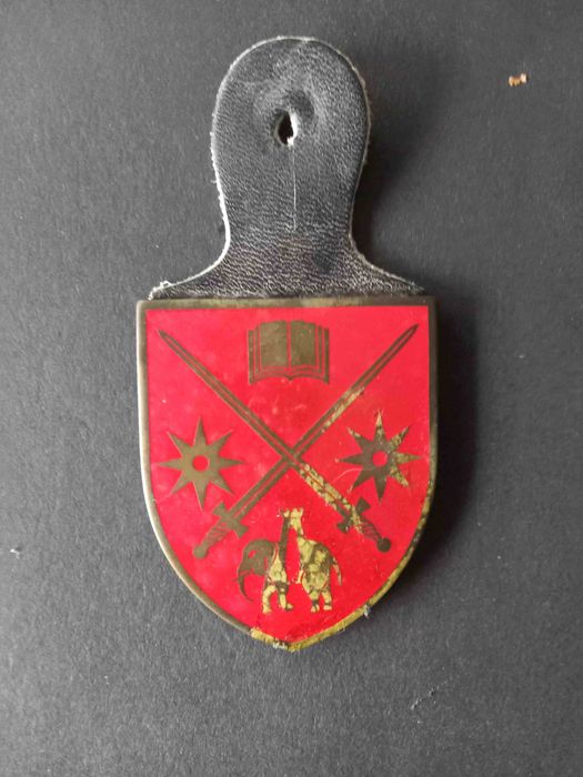 Crachás militares - Coleção - C