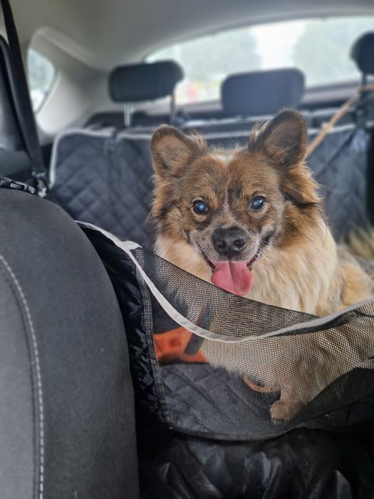 Czy w jego ciężkim życiu pojawi sie jakas nadzieja na dom?