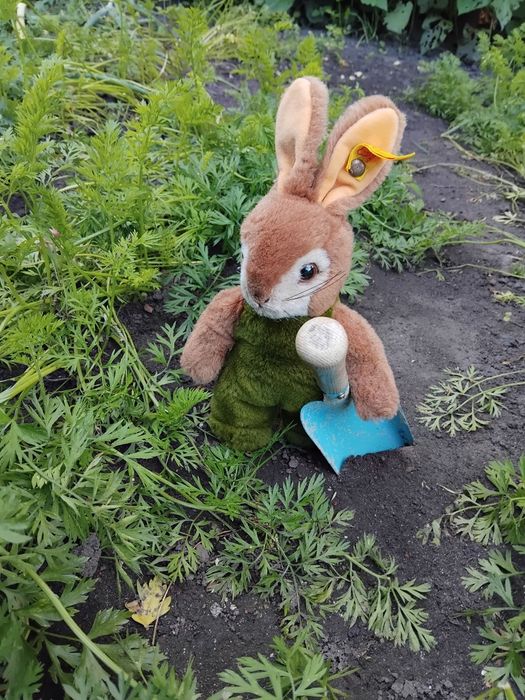 Krolik zajac pluszak maskotka zabawka przytulanka