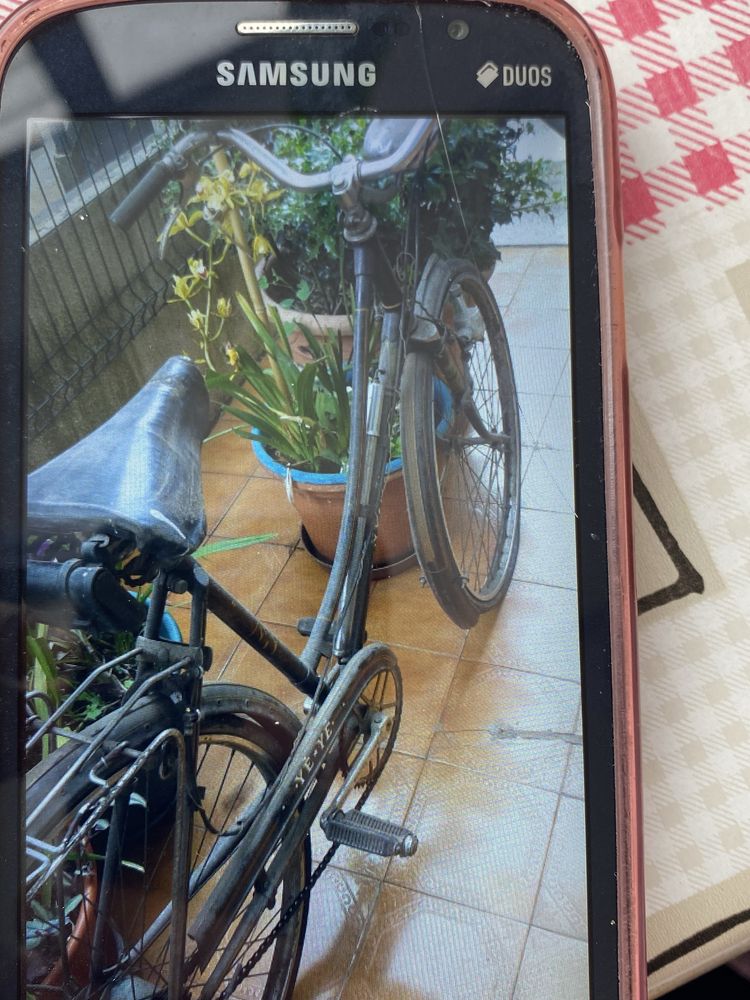 Bicicletas pasteleiras (3)