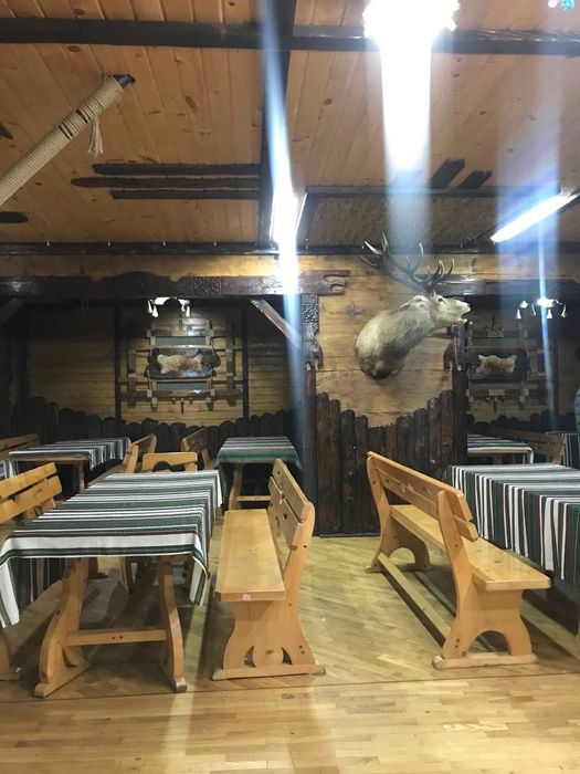 База відпочинку в Карпатах. Табори, групи, компаніі, співпраця