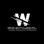 Wgniotkarz.pl Usuwanie wgnieceń bez lakierowania PDR