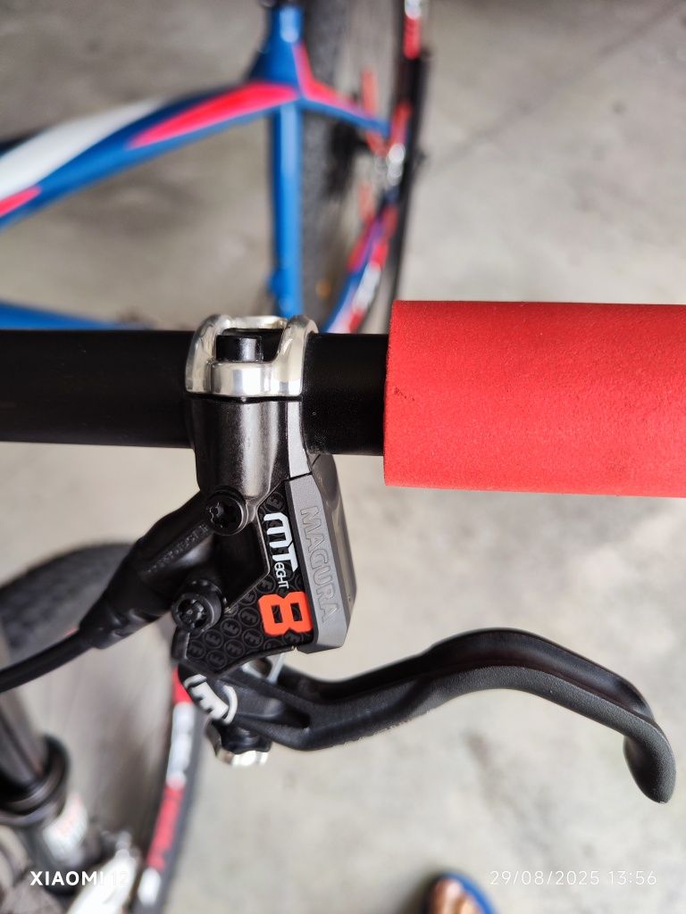 Bicicleta BTT 29 Focus Raven Carbono