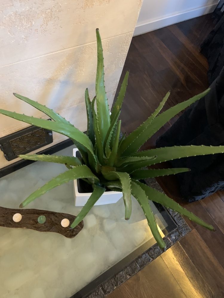 Aloes sztuczny Almi Decor 2 szt