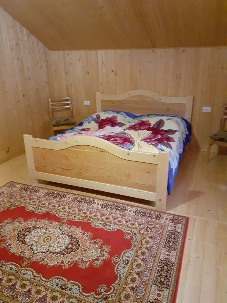 Оренда котеджу в Карпатах біля гір