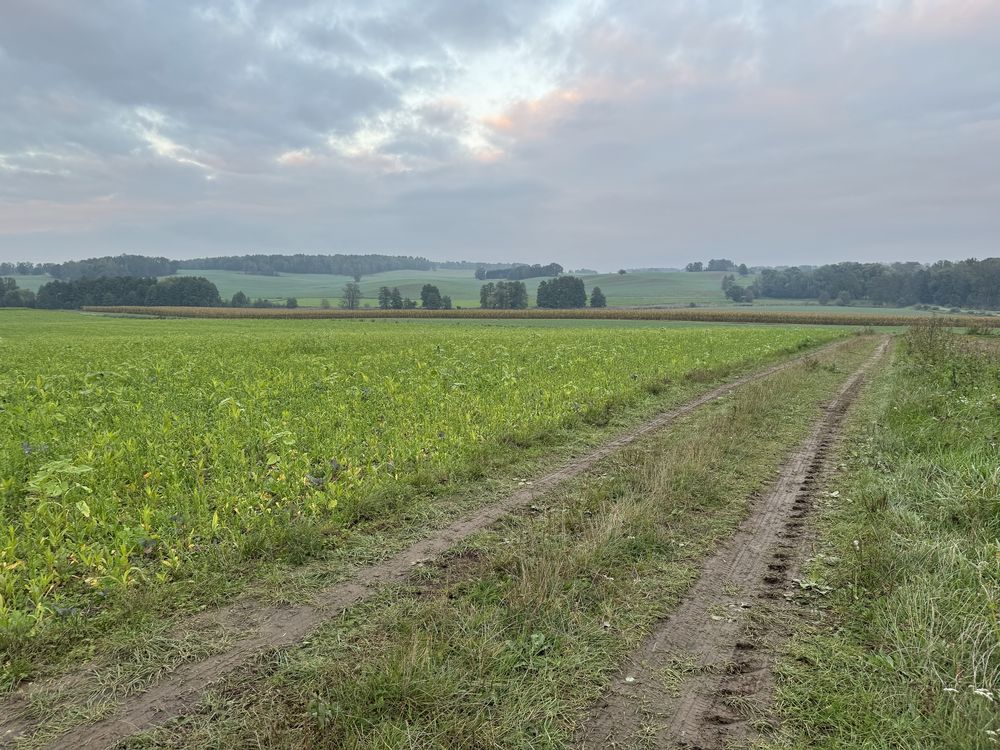 Dzialka rolno - budowlana we wsi Sobota Lwowek Slaski  30 arow