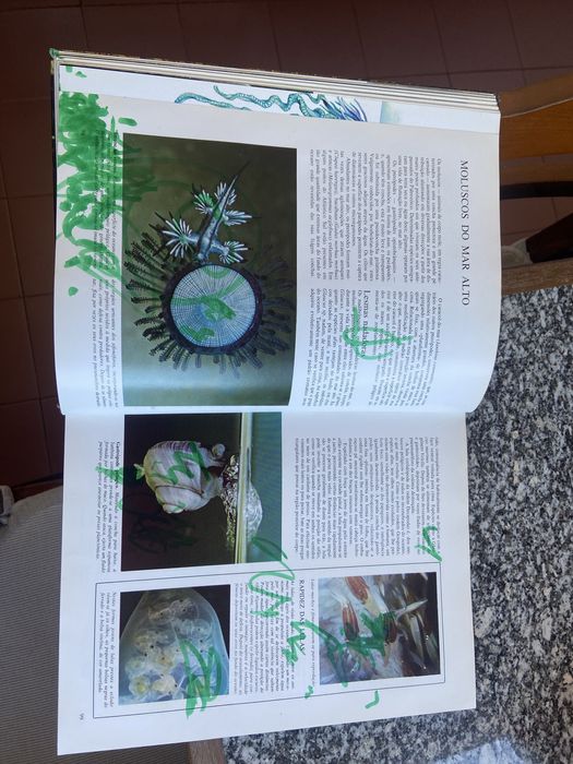 Segredos di mar o mundo fascinante dos oceanos e das ilhas