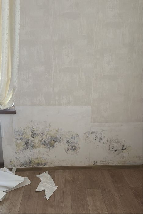 ‼️Видалення плісняви , Видалення грибка з гарантіею