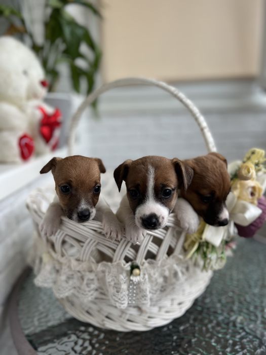 Милі дівчатка та хлопчики