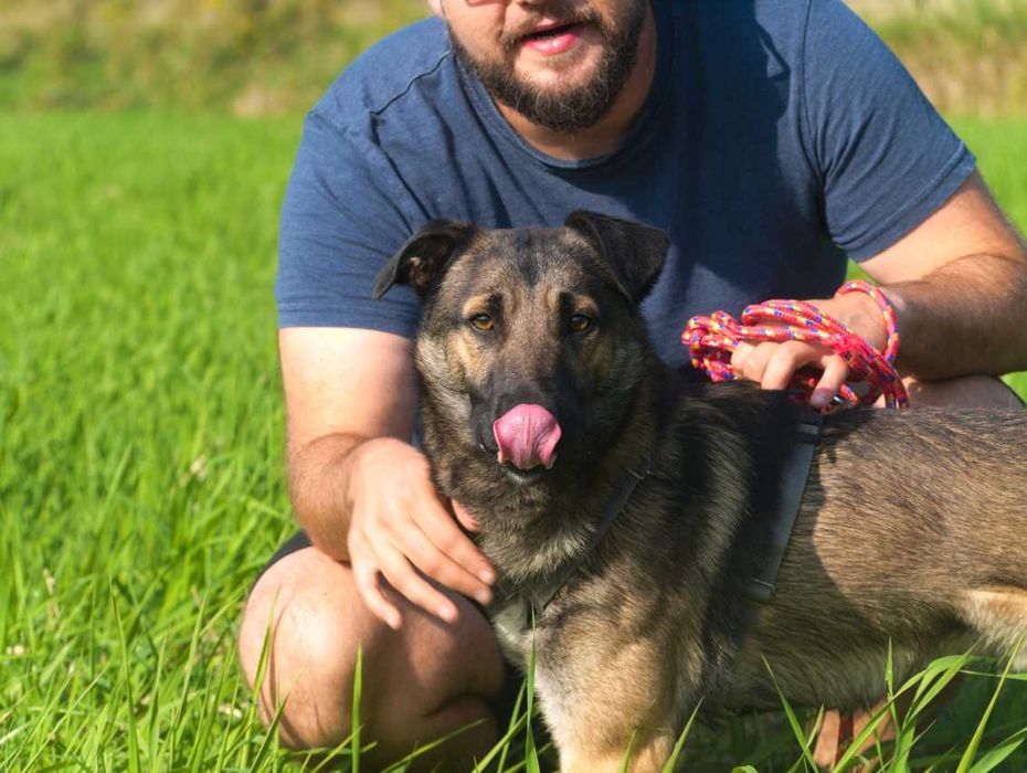 Szyszek - lojalny, wrażliwy, bystry i wyjątkowy psiak do adopcji.