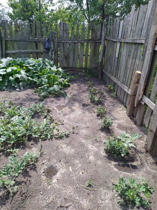 Участие город Шостка