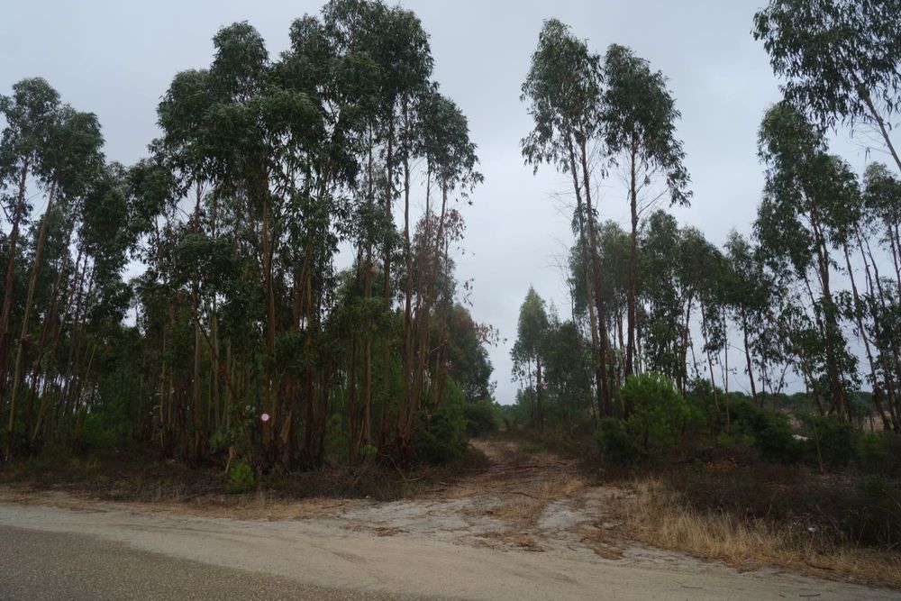 Terreno Rústico - Excelente oportunidade de negócio