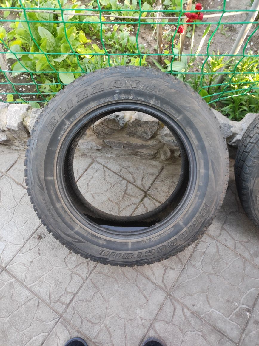 Шины Bridgestone Blizak