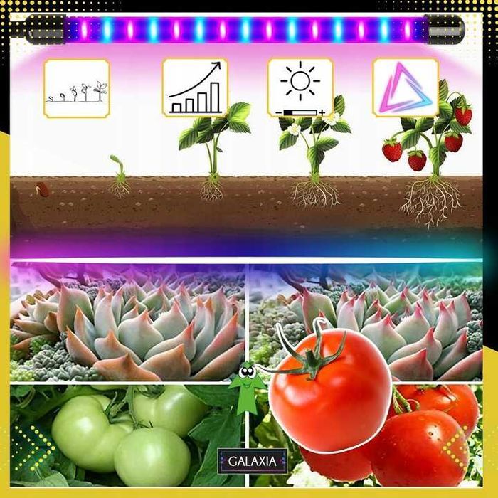LAMPA DO ROŚLIN 3X Do Uprawy Wzrostu Oświetlenie Żarówka LED Grow TIME