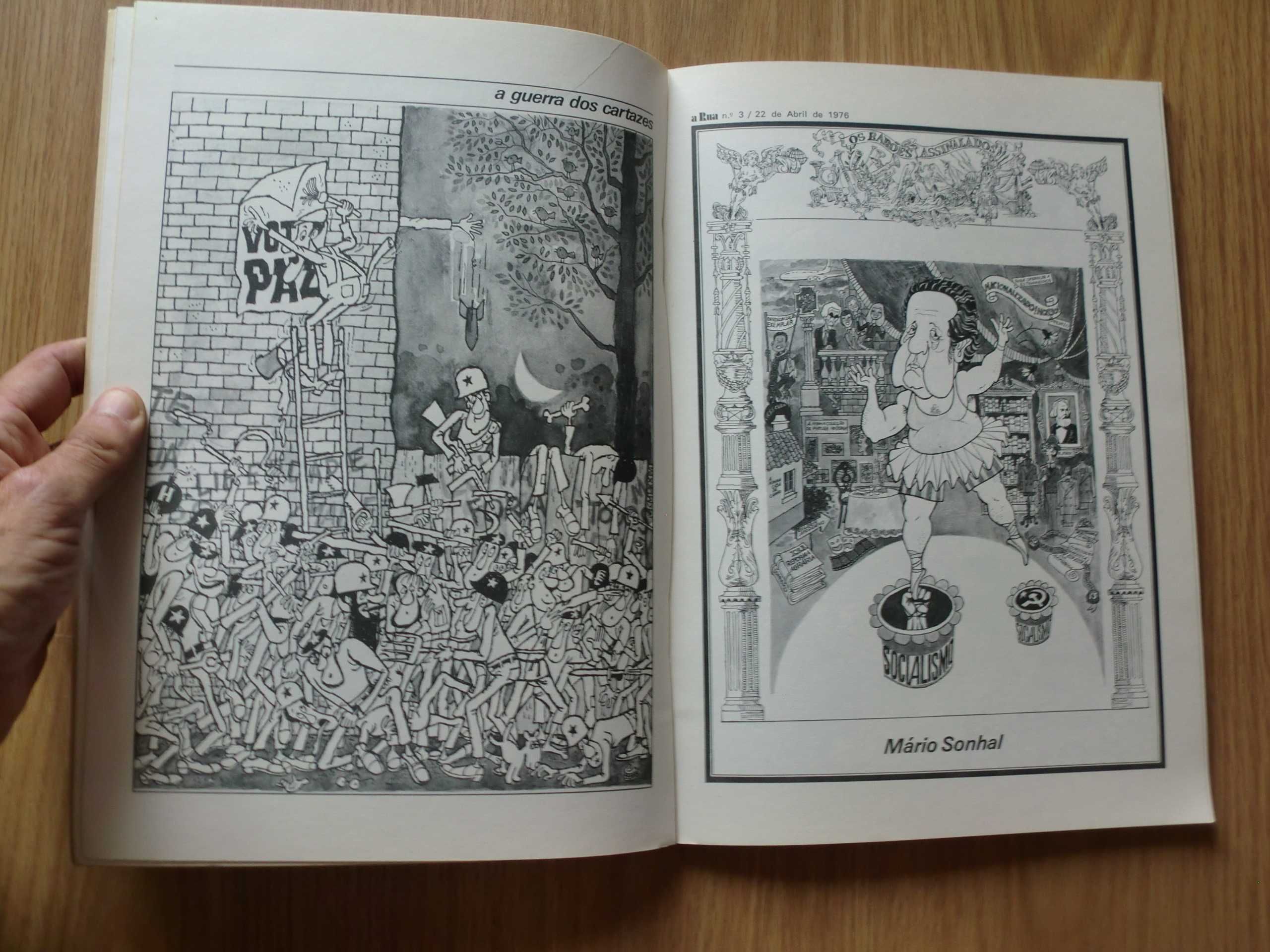 Um Ano na Rua - 1º Volume