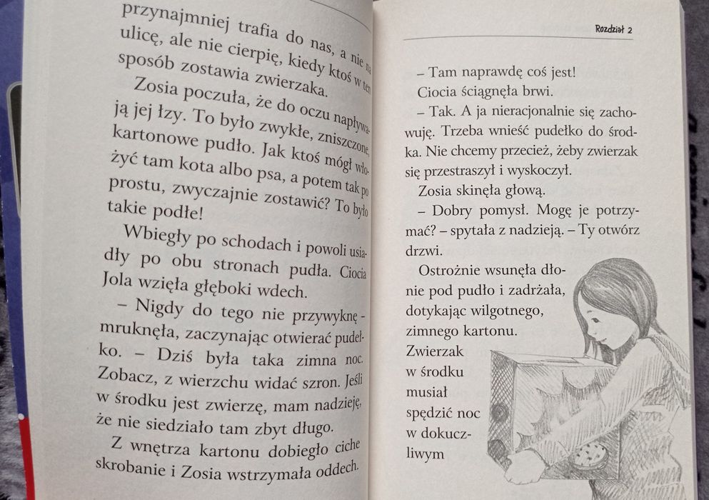 Zaopiekuj się mną Holly Webb - Inka, porzucone szczenię - piesek