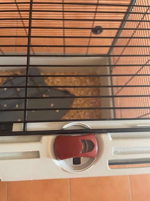 Клітка для щурів, тхорів