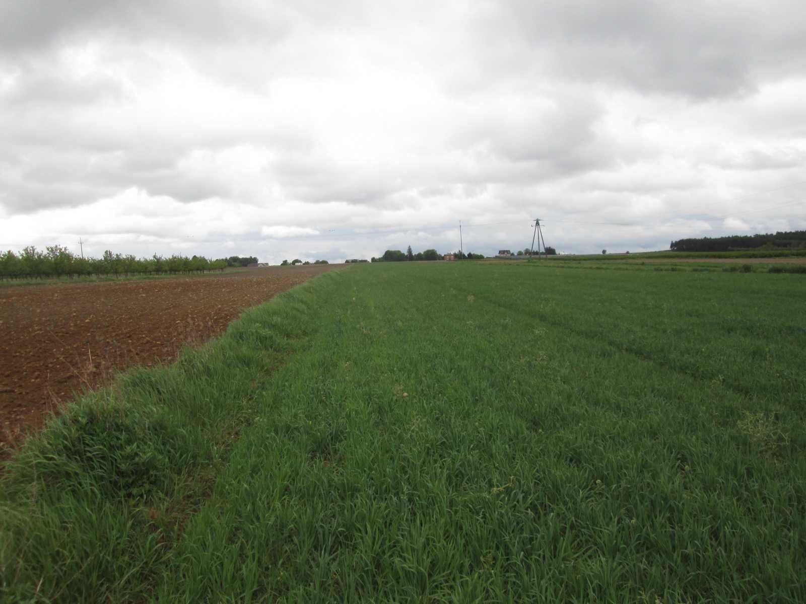 Sprzedam działkę - lasek, rzeczka