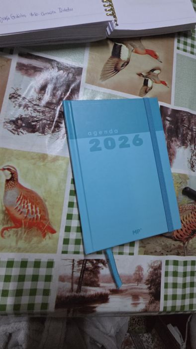 Agenda diária 2026