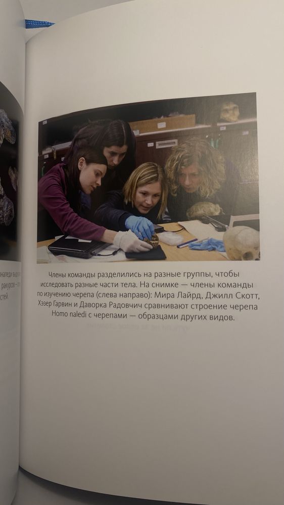Почти Человек. Ли Бергер, Джонс Хокс National Geographic