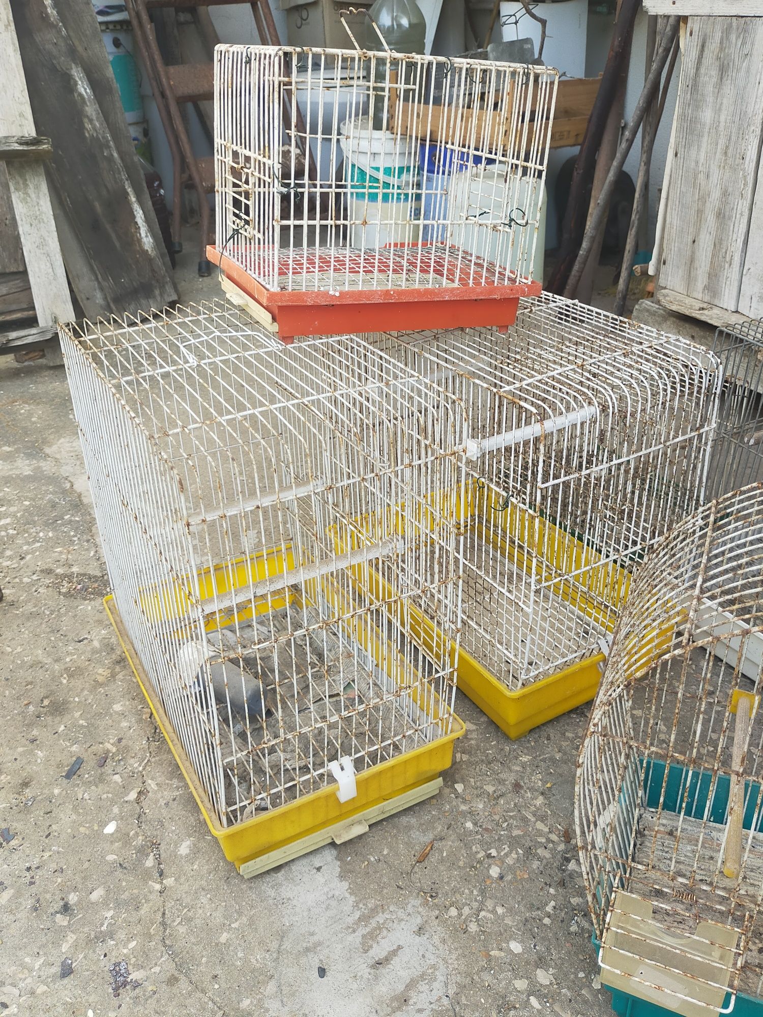 Gaiolas para passarinhos