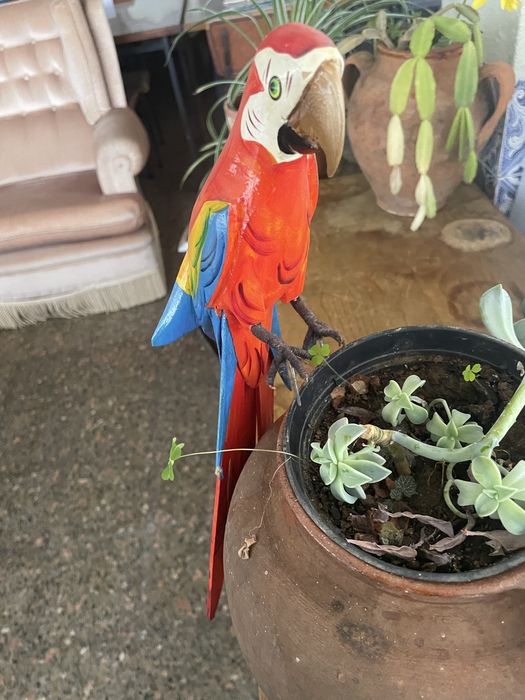 Arara decorativa em madeira